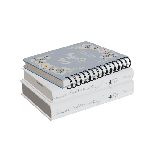 book11 3D model