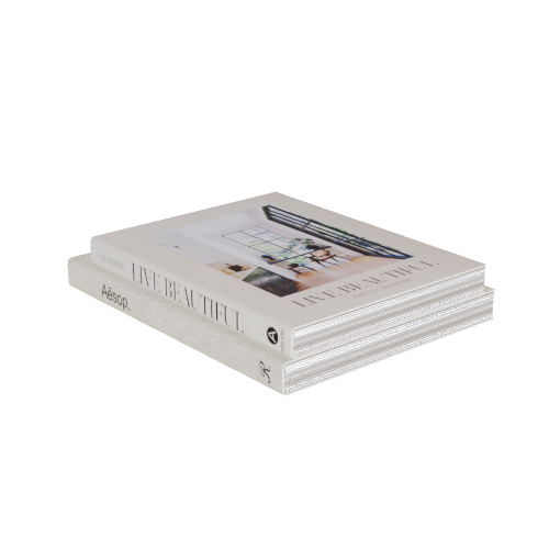books 3D model
