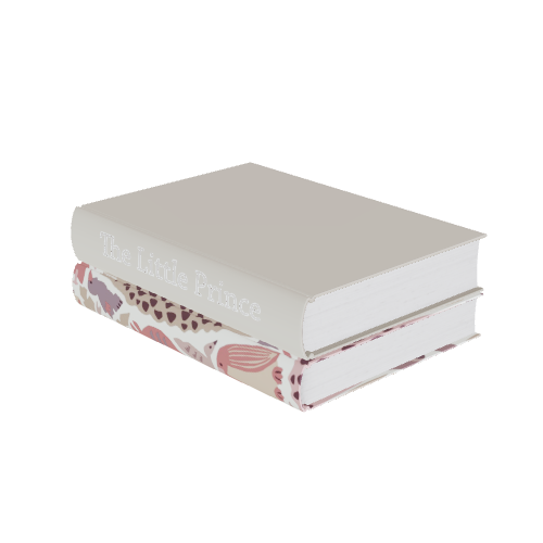 books111 3D model