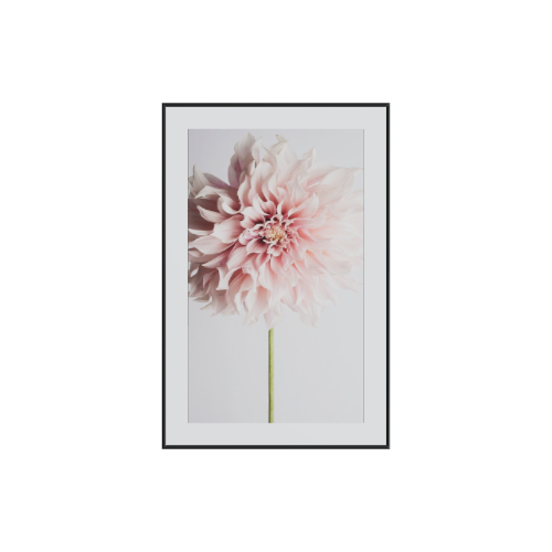 frame7 3D model