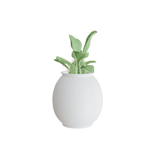 Palnt 3D model