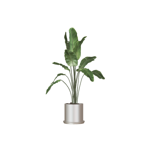 plant31 3D model