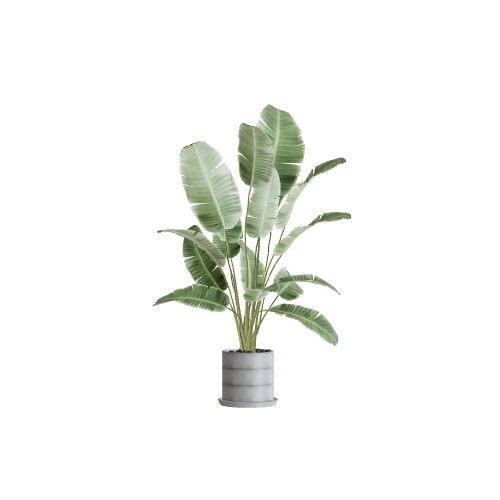 plant33 3D model