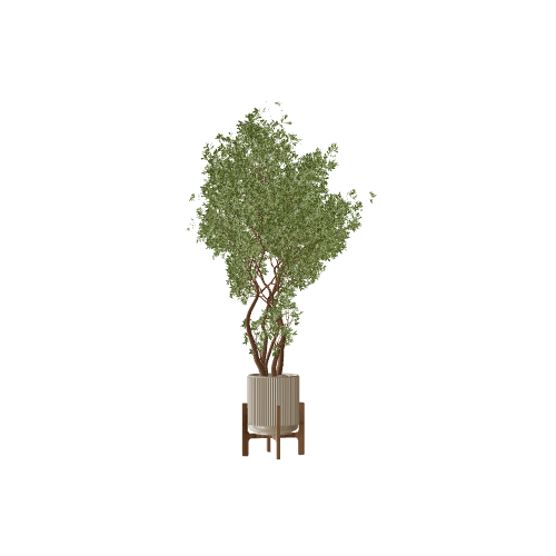 plant41 3D model