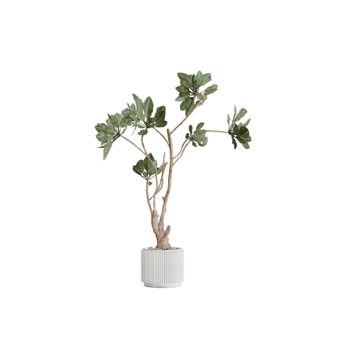 plant42 3D model