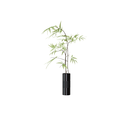 bamboo plant 3D model