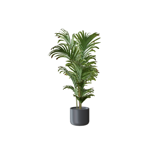 Plant 3D model