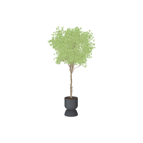 Plant 3D model