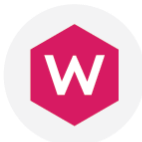 witmodel logo